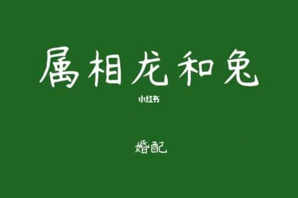 属兔跟属龙的姻缘怎么样 属兔与属龙姻缘解析相配指数与婚姻运势