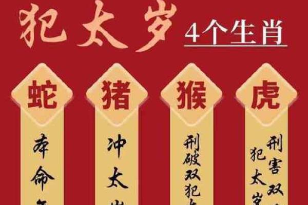 枪林弹雨是什么生肖