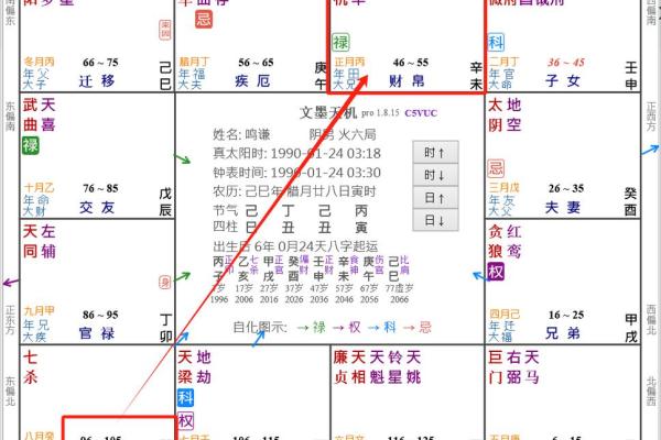 2025年2月26日丑时男命紫微斗数全解盘