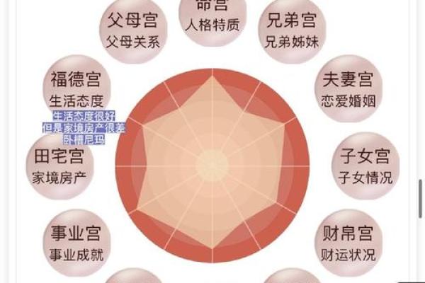 夫妻两人子女宫不一样 夫妻子女宫差异解析命运为何不同