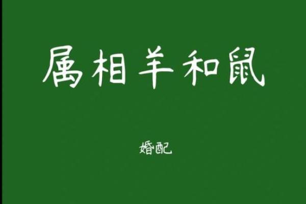 属羊和属鼠的适合做夫妻吗_属羊和属鼠的婚姻配对适合做夫妻吗