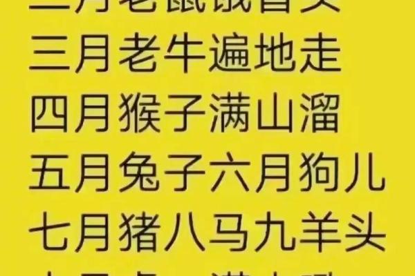 2006年出生为什么属鸡揭秘生肖背后的奥秘
