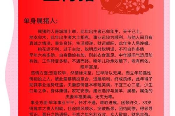 1971年属猪的财运 1971年属猪人财运解析如何提升财富运势