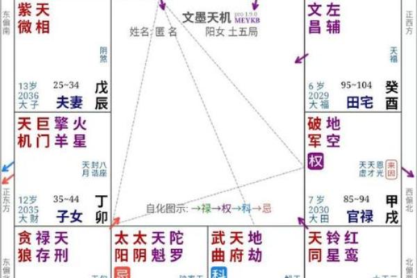 福德宫紫微贪狼星 福德宫紫微贪狼星解析命理运势与人生指引
