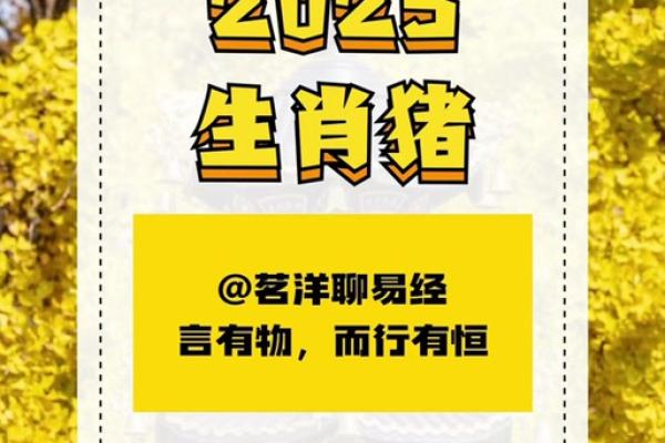 属猪人2025年全年运势详解及每月运程预测