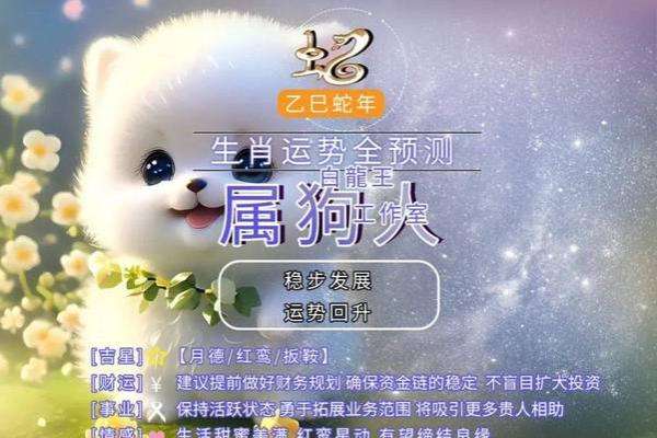 属狗2024年的运势及运程_2025年生肖狗全年运程