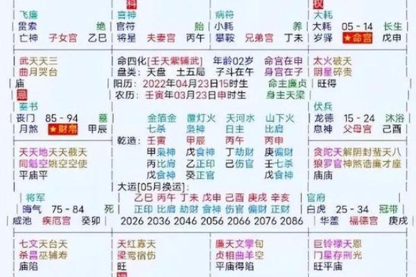 2025年3月3日子时男命紫微斗数全解盘