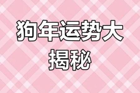 属狗的2025年多大了 2025年属狗的人年龄揭秘你几岁了