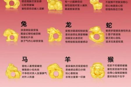 无边生肖是什么生肖(无边生肖是哪六个生肖)