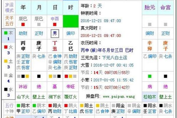 2016年什么年