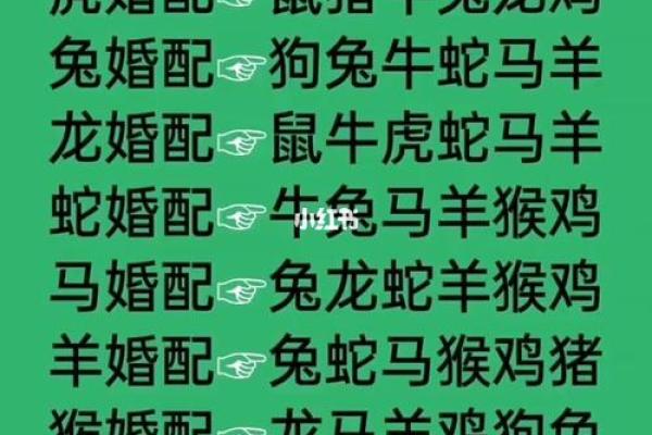 绝代佳人代表什么生肖