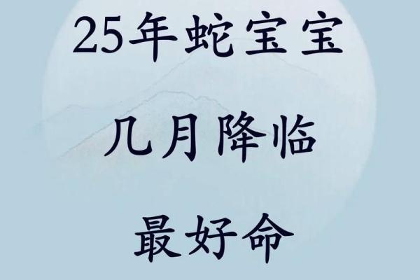 2025年4月24日出生的蛇宝宝