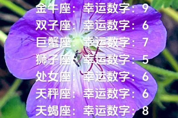 白羊座25年幸运色