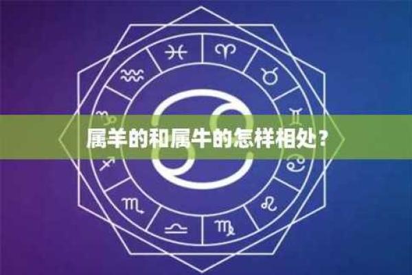属羊和属牛合作财运如何 属羊与属牛合作财运解析最佳搭档还是潜在风险