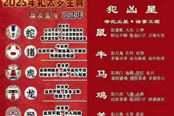 属龙多大2025_2025年属龙人年龄对照表出生年份与岁次解析