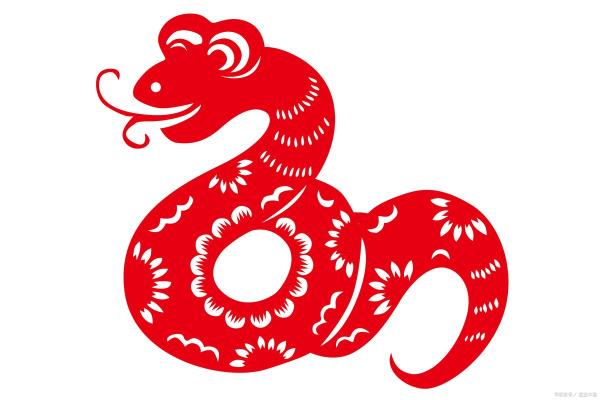 破壳而出是什么生肖