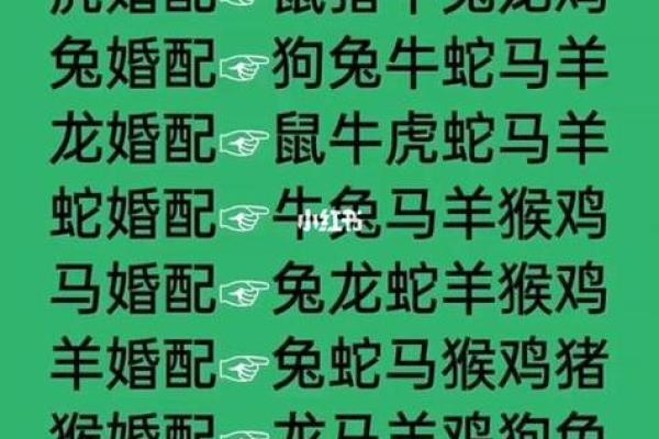 回天无力是什么生肖