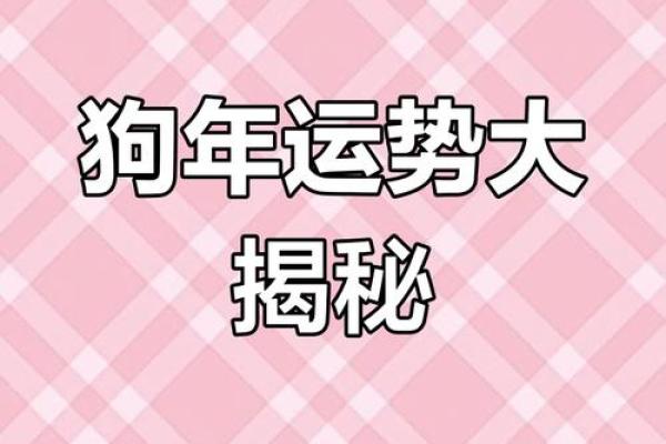 2025年属狗人幸运色揭秘提升运势的最佳选择
