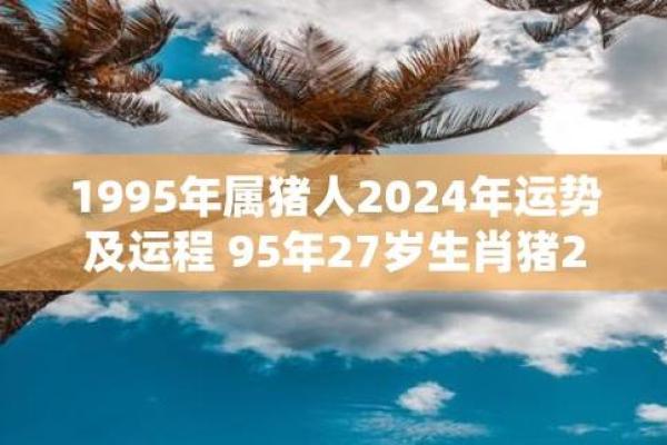 1995属猪人2025年运势_1995苦命猪过了29
