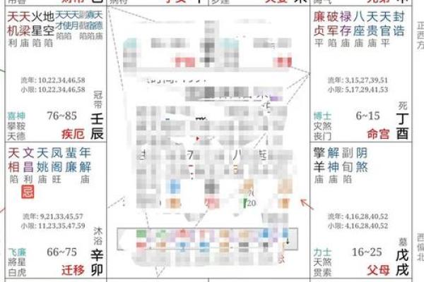 2025年3月6日寅时女命紫微斗数全解盘