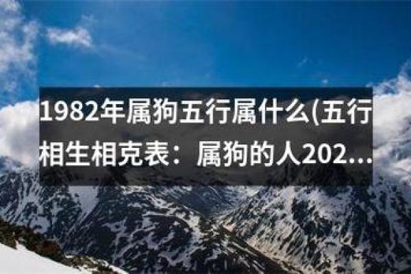 1994的狗是什么命 五行属什么_1994年的狗五行属什么