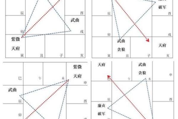 2025年2月25日子时男命紫微斗数全解盘