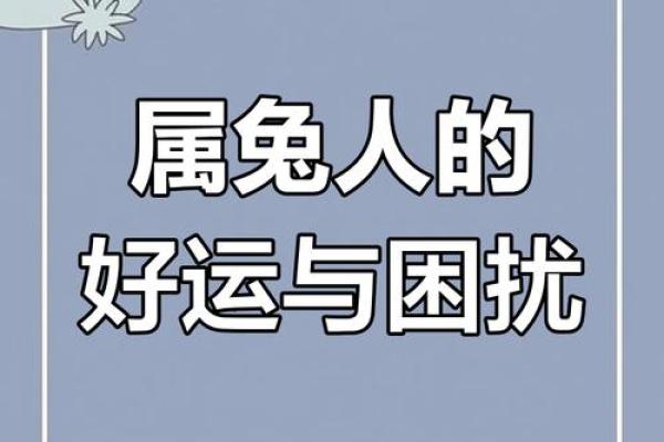 属兔2025年幸运数字 2025年属兔人的全年运势1999出生