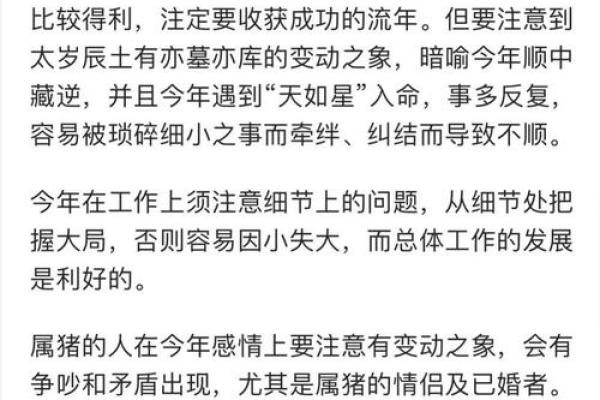 2007年属猪2025年运势详解财运事业感情全解析