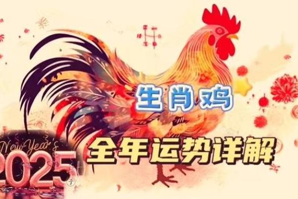 1993年属鸡2025年运势完整版_1993年属鸡2025年运势详解事业财运健康全解析