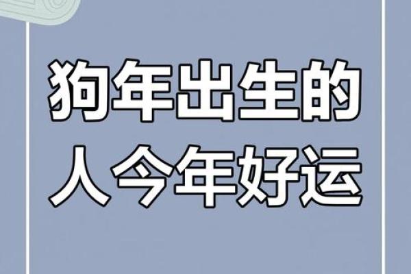 2025属狗人全年运势女 2025属狗人全年运势女性