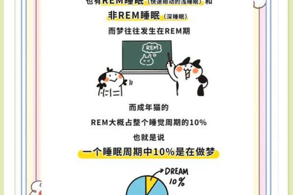 做梦梦到猫