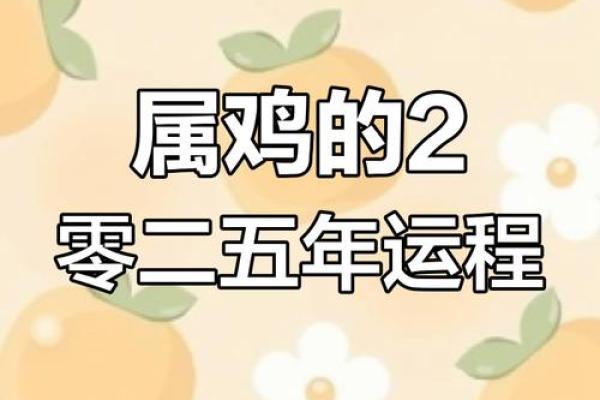 生肖鸡运势2025年运程 2025年1981属鸡的运势及运程