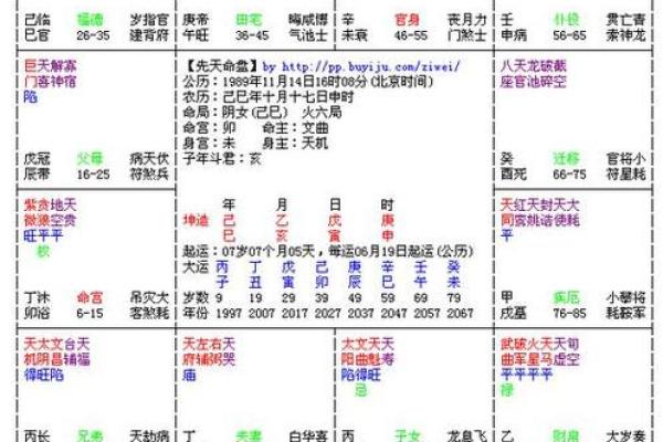 2025年3月1日卯时男命紫微斗数全解盘