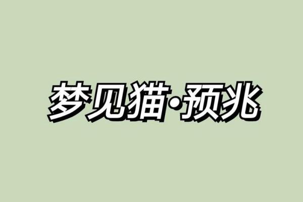 梦见猫是什么意思