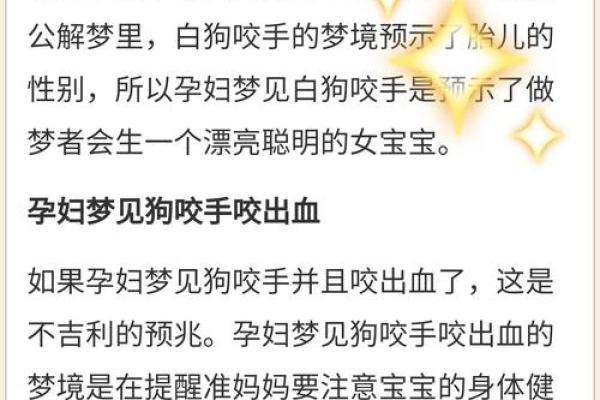 梦见狗咬我是什么意思