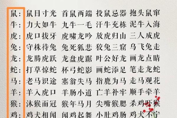 九牛一毛打一正确生肖