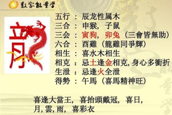 属龙出生最好时辰几点为最佳 属龙农历各月出生最佳时辰解析几时出生运势最旺