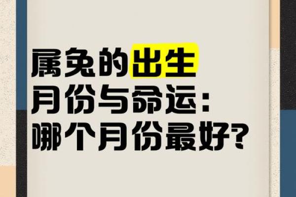 属兔2025年结婚吉日 2025年属兔结婚吉日大全最佳婚期推荐与择日攻略