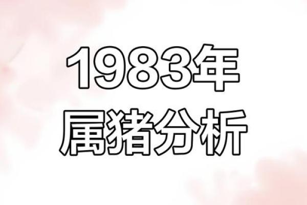 属猪几几年出生_属猪几几年出生多大