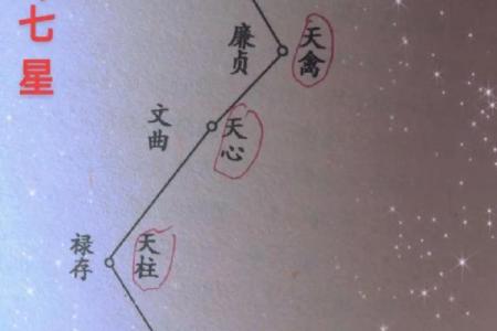 父母宫廉贞化忌_父母宫廉贞化忌命理解析与化解之道