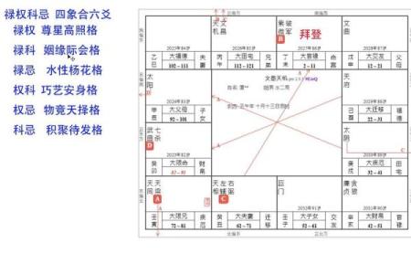 蔡明宏紫微斗数解析精准预测与人生指南