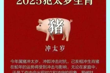 1971年的属猪人的命 1971年属猪人命理解析运势性格与未来展望