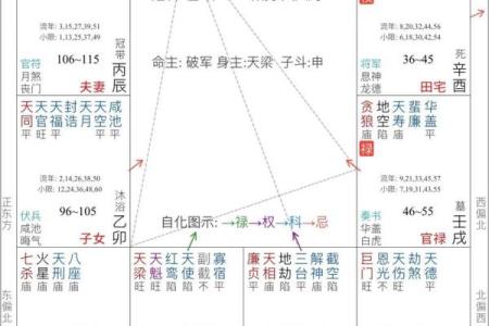 2025年2月19日丑时女命紫微斗数全解盘