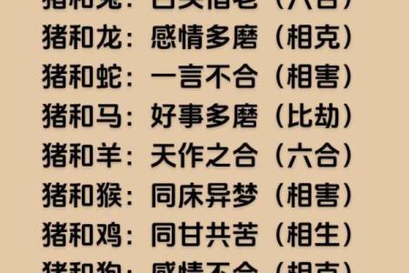 日进斗金东家乐是什么生肖
