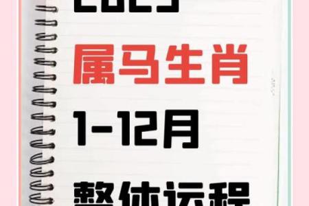 1942年属什么生肖属相