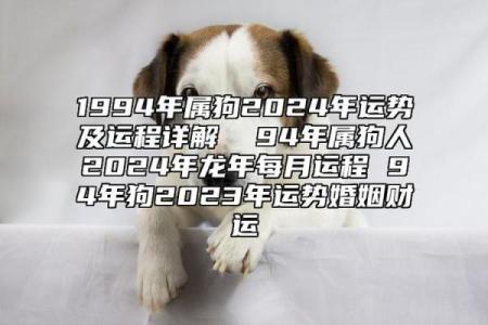 属狗今日运势与财运解析吉凶如何