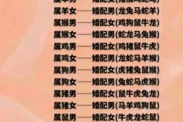 男属龙和女属兔的姻缘怎样啊 男属龙女属兔姻缘解析生肖配对是否幸福美满