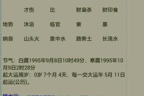 两个人生辰八字免费_免费测算两个人生辰八字揭秘命运契合度