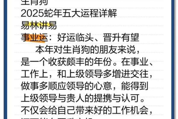 2025属狗人最旺的颜色_2025年属狗人最旺颜色揭秘提升运势的关键选择