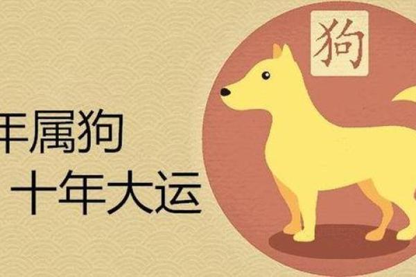 1970年属狗人一生运势如何 1970年属狗的人2021年运程十二生肖网